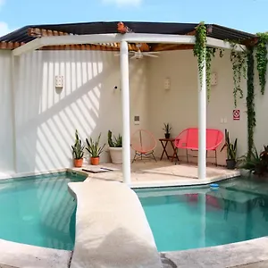 Bed & Breakfast Pecari, Cancún
