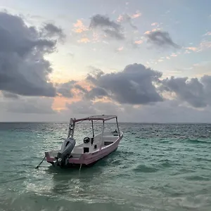 Home's Jungle Puerto Morelos 20 Minutes From The Airport Affittacamere